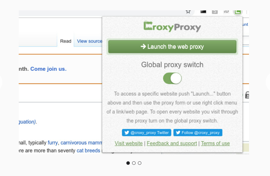 croxyproxy app open